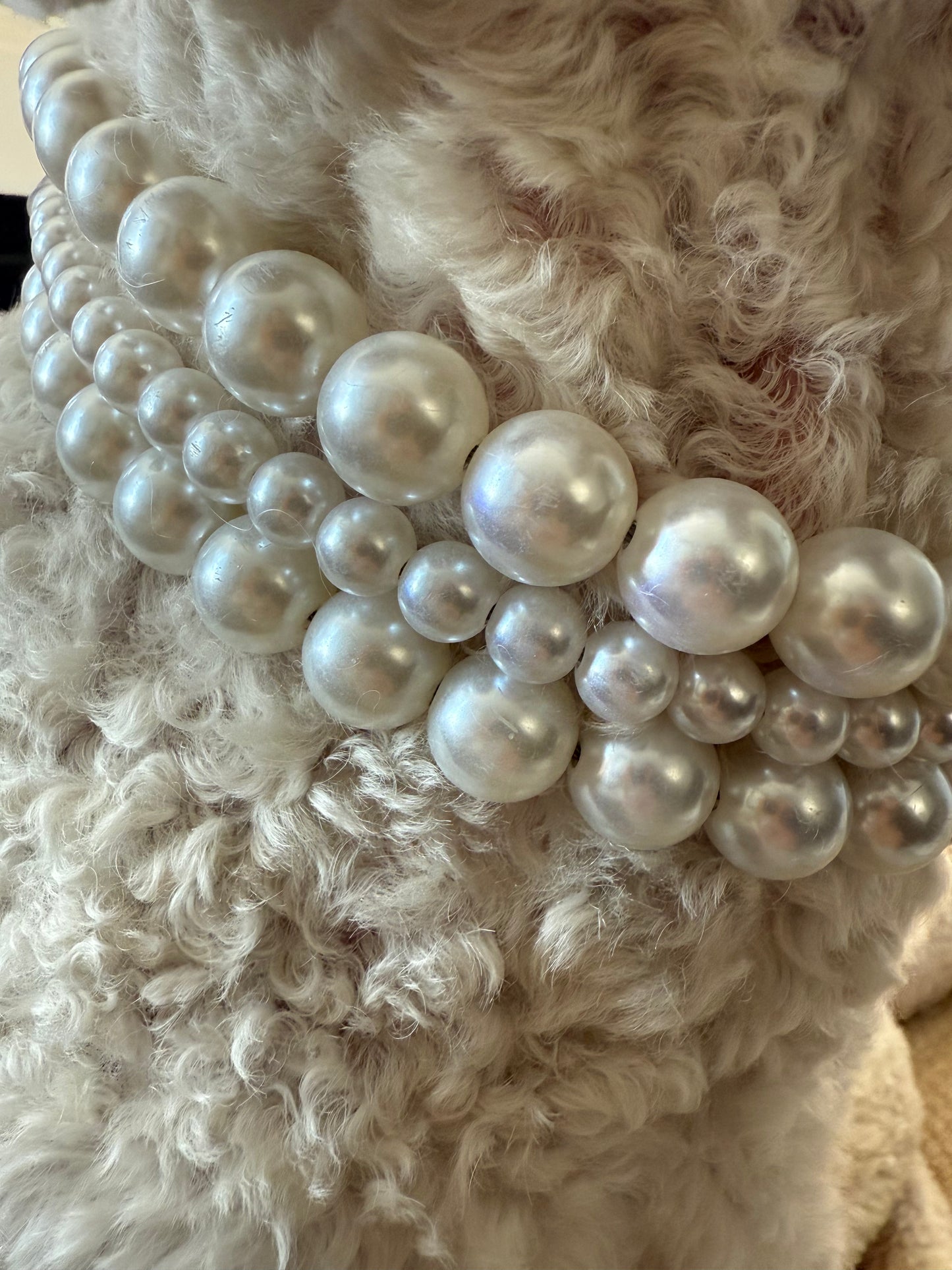 Dog Pearl Collar